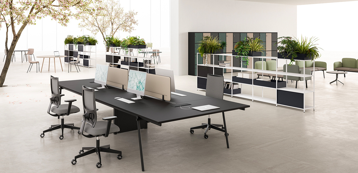 knot dvo office