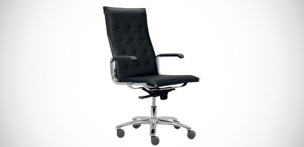 Taylord chair Luxy