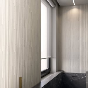 Phenomenon moduuli Rain A
