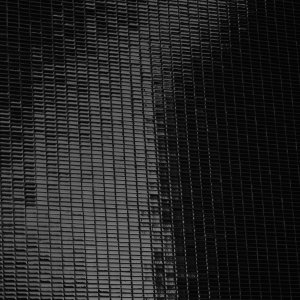 Phenomenon Glossy Rock, väri Oro